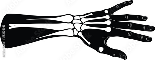 Hand and Forearm Bones X-Ray Style - AI Generative
