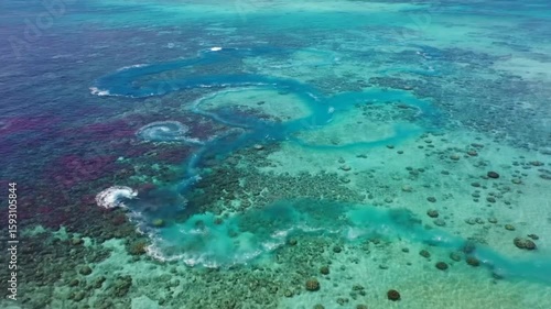 Wallpaper Mural An aerial view of a vibrant coral reef in clear turquoise ocean water, showing intricate patterns and shallow depths Torontodigital.ca
