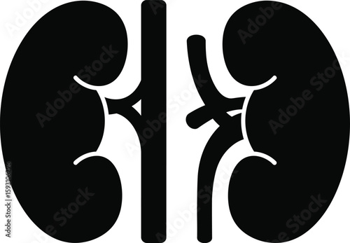 Kidneys with Renal Vessels Silhouette - AI Generative
