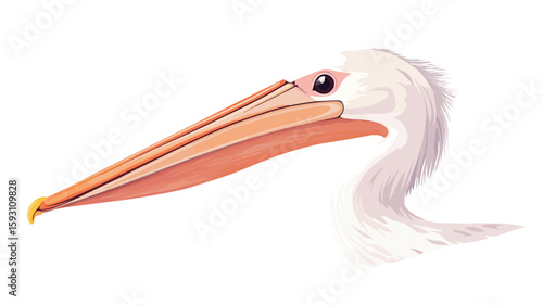Bird Beak Close-up Wildlife Photography