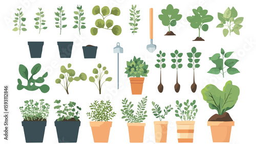 Planting Process Vector Illustration