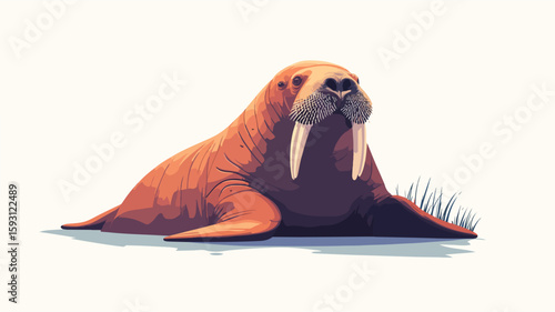 Wide Angle Cartoon Walrus Illustration
