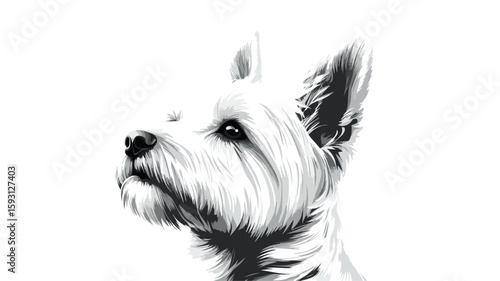 West Highland White Terrier Portrait