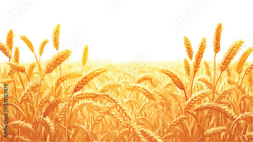 Wheat Ear Agriculture Harvest Concept