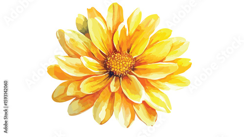 Vibrant Yellow Flower on White Watercolor