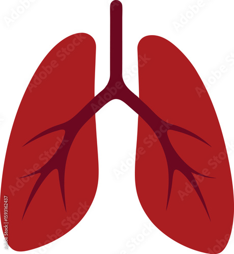 Minimalist Vector of Human Lungs in Red with Bronchial Branching for Medical and Wellness Themes