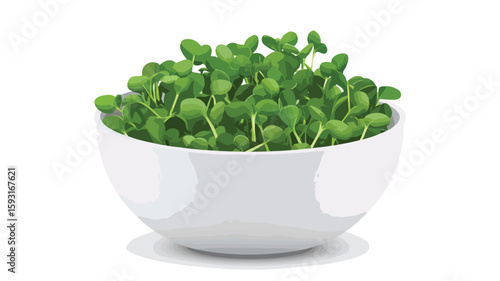 Fresh Sprout Salad in White Bowl