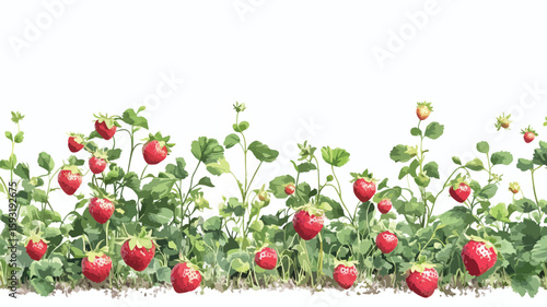 Fresh Strawberry Plant with Food