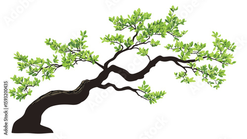 Bonsai Leaf on Centered Tree Branch