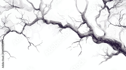 Wide Angle Tree Branch Sketch Drawing