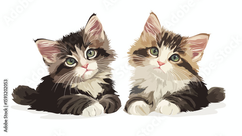 Adorable Kittens Centered in Wide View