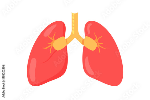 Stylized illustration of human lungs and trachea isolated on white background