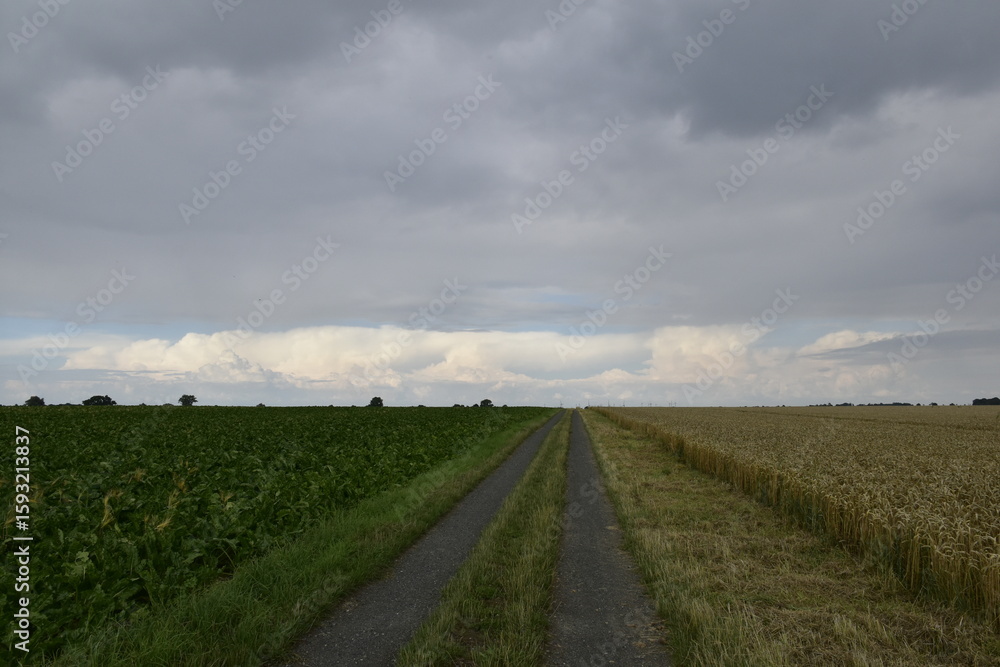 Fototapeta premium Landschaft und Wetter zwischen Hildesheim und Braunschweig 