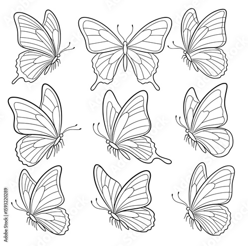 Wallpaper Mural butterfly insect outline vector SVG line art Torontodigital.ca