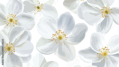 Elegant White Flowers in Wide Angle