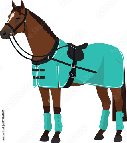Brown horse wearing turquoise protective blanket and leg wraps standing calm in stable vector illustration