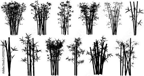bambus silhouettes volume 1
