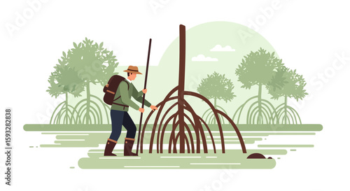 Person Exploring Mangrove Forest Illustrated Concept For Environmental Conservation