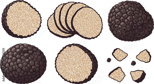 Illustration of whole and sliced black truffles isolated on a white background vector art