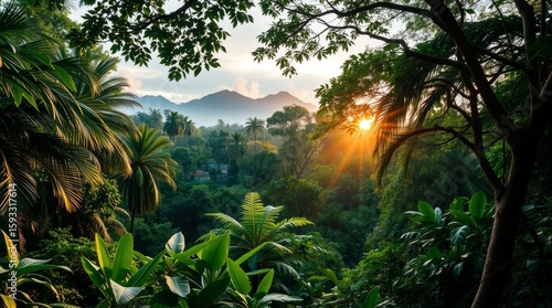 Fototapeta Naklejka Na Ścianę i Meble -  Jungle Canopy at Sunset: A stunning vista unfolds, revealing a vibrant green jungle canopy illuminated by the golden rays of a setting sun, with rolling hills in the distant backdrop.