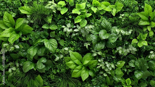 Wallpaper Mural Lush Green Tropical Foliage Wall Texture Background Vibrant Natural Greenery Perfect for Design Projects Nature Inspired High Resolution Seamless Pattern Botanical Garden Wall Eco  Torontodigital.ca