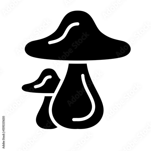 mushroom plant healthy diet