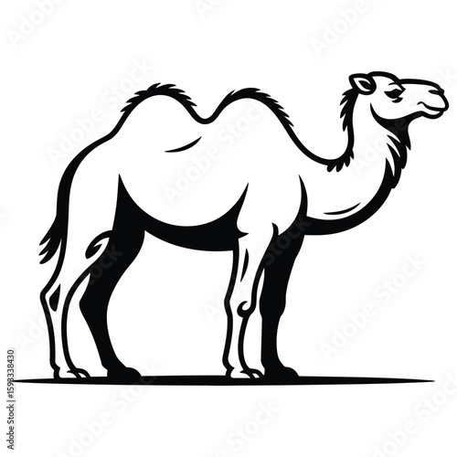 camel cartoon illustration