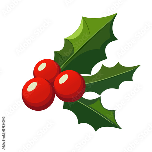 Holly leaves and berries. Christmas holly berries symbol. Holly berries. Mistletoe. christmas holly. Cute bright holly isolated on white background. Mistletoe symbol of christmas. Xmas Holly. Vector