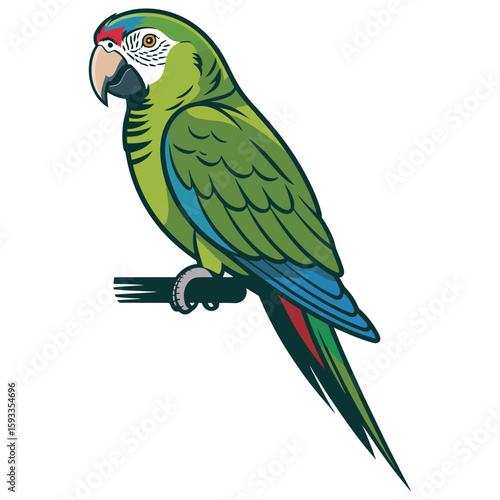 parrot on a branch
