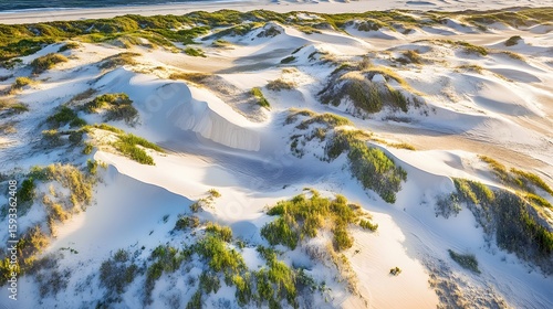 Aerial View of Coastal Sand Dunes with Vegetation