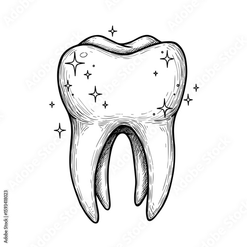 Tooth with sparkle in sketch style, surrounded by shining stars, hand-drawn illustration. Dental health, oral hygiene, bright smile concept, for dentistry ads, toothpaste packaging, health blogs