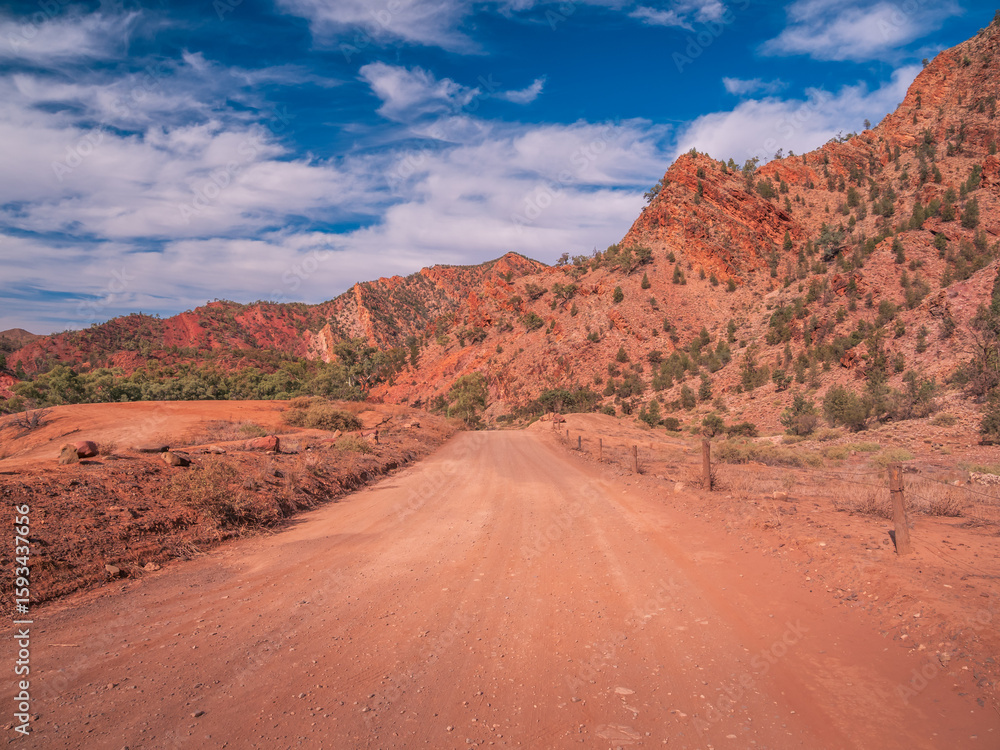 Fototapeta premium Flinders Ranges Scene with Road
