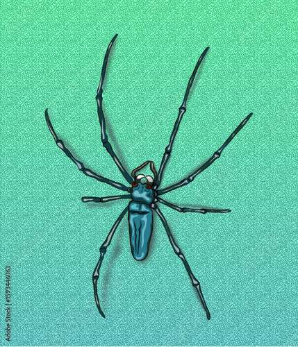 Spider for those who like a challenging and exciting style.