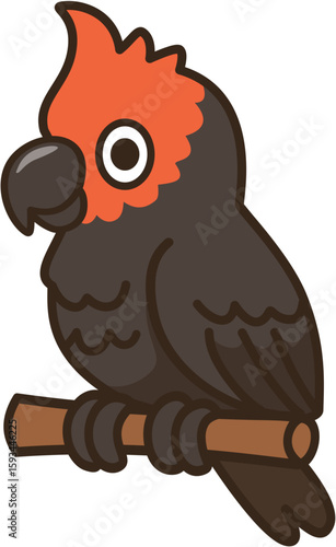 Gang Gang Cockatoo 