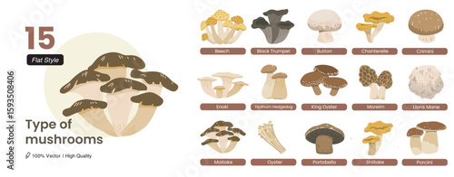 types of mushrooms
