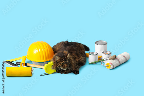 Cute cat with builder's too...