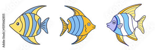 Three colorful cartoon angelfish illustration vector art aquarium fish drawing design element