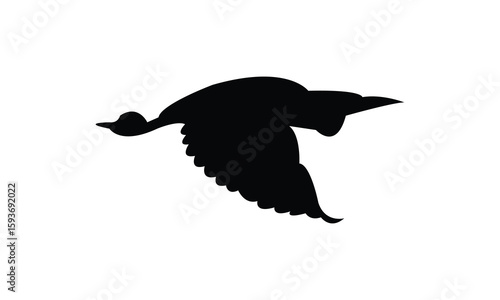 Flying American bittern bird Silhouette Design  And Vector Illustration. 