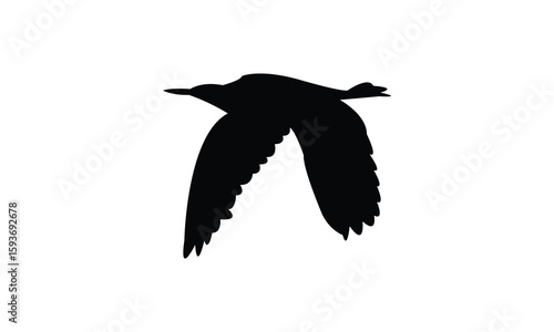 Flying American bittern bird Silhouette Design  And Vector Illustration. 