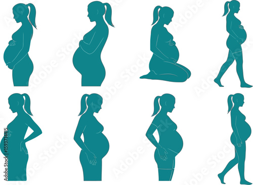 Various silhouettes of pregnant women on a pink colored background