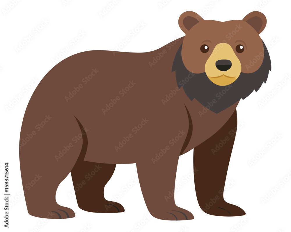 Fototapeta premium Brown bear standing and looking forward