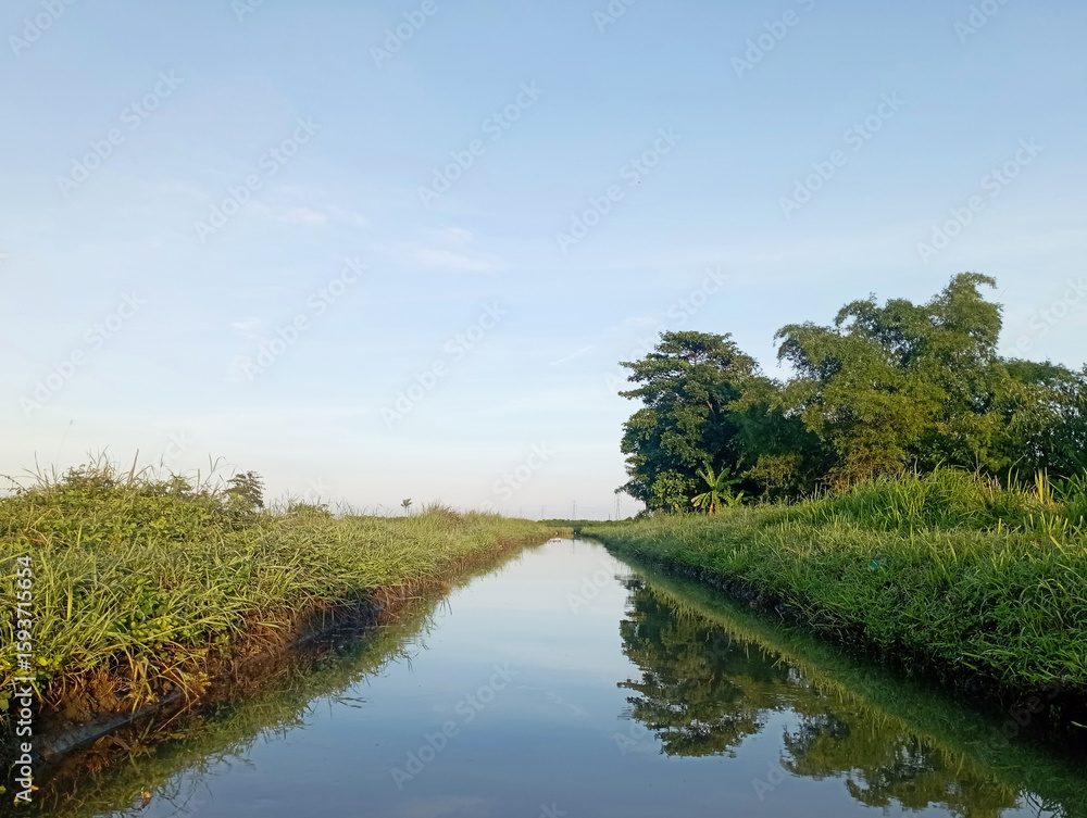 Fototapeta premium Photo of Rice Field Irrigation in the Morning