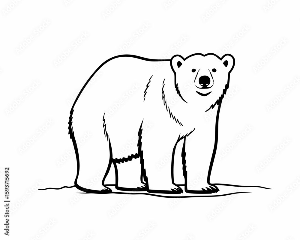 Fototapeta premium Simple black and white illustration of a standing polar bear