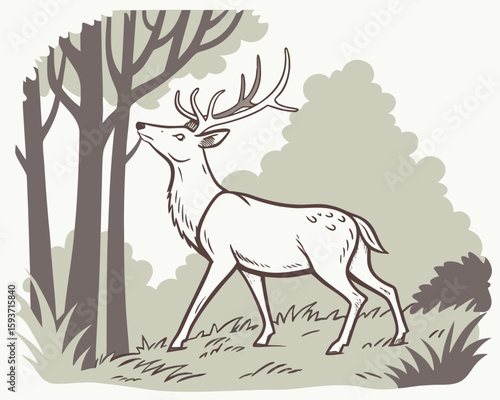Majestic stag with antlers in a forest clearing
