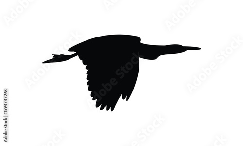 Flying American bittern bird Silhouette Design  And Vector Illustration. 