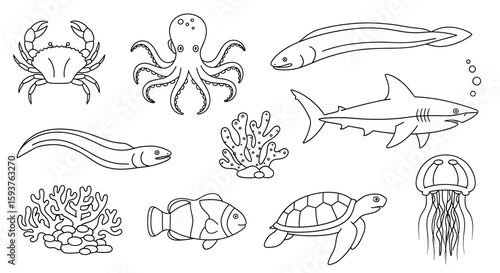 Outlined sea creatures including a crab, octopus, eels, shark, turtle, and jellyfish illustration