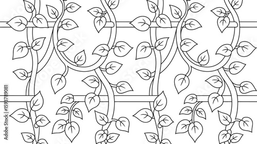 Line art illustration of climbing plants on a trellis background