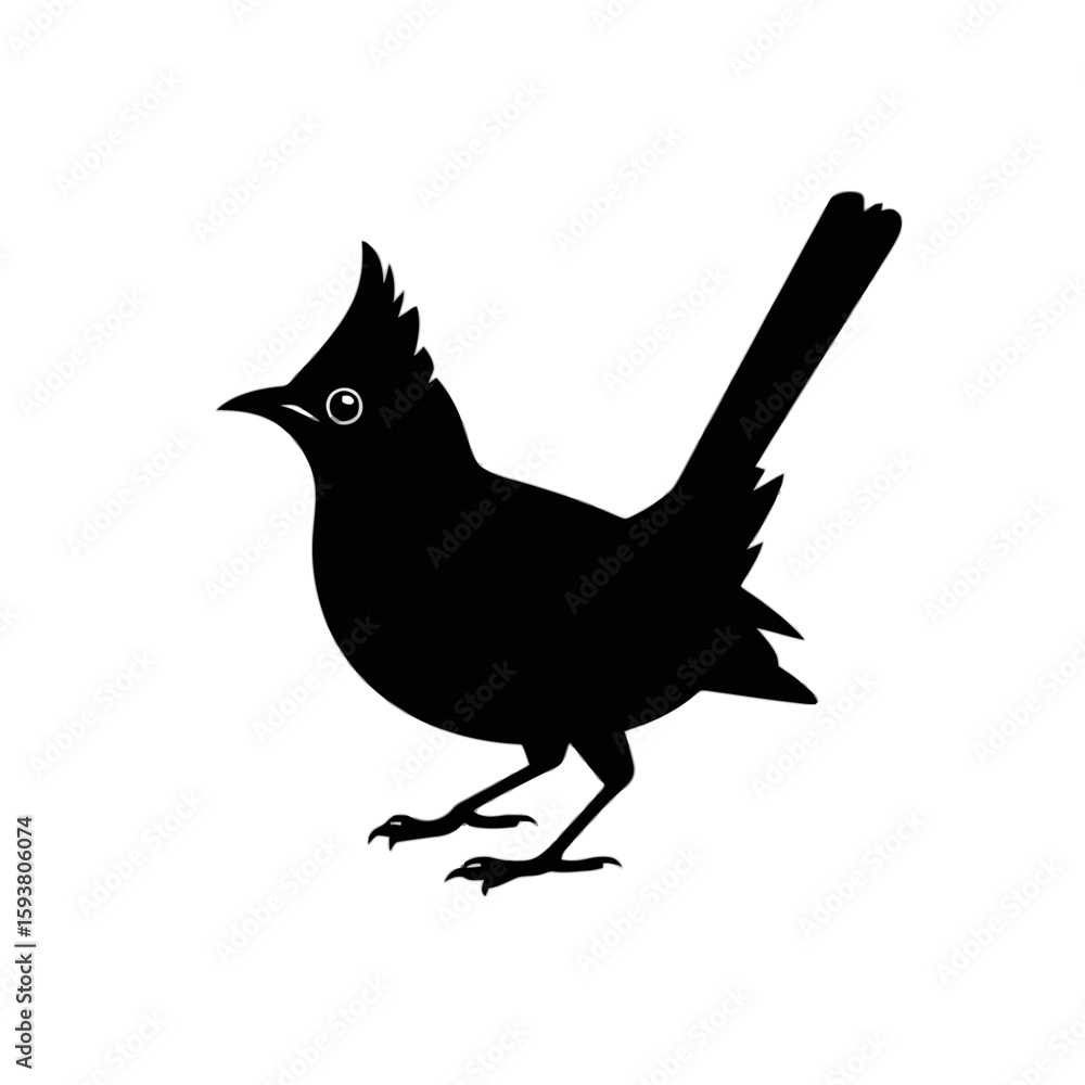 Obraz premium Crested Bird Standing silhouette black