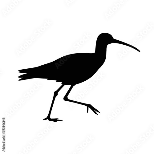 Curlew Bird Silhouette wading bird long beak