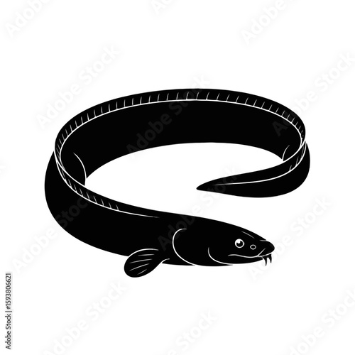 Eel swimming with dorsal fin fish marine life